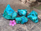 Polished Malacolla Free Forms x 4 From Kulukuluku, Congo - Toprock Gemstones and Minerals 