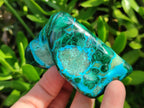Polished Malacolla Free Forms x 4 From Kulukuluku, Congo - Toprock Gemstones and Minerals 