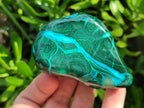 Polished Malacolla Free Forms x 4 From Kulukuluku, Congo - Toprock Gemstones and Minerals 