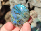 Polished Labradorite Palm Stones x 24 From Madagascar - Toprock Gemstones and Minerals 