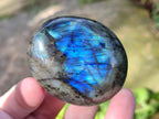 Polished Labradorite Palm Stones x 24 From Madagascar - Toprock Gemstones and Minerals 