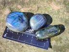 Polished Labradorite Palm Stones x 24 From Madagascar - Toprock Gemstones and Minerals 