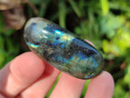 Polished Labradorite Palm Stones x 24 From Madagascar - Toprock Gemstones and Minerals 