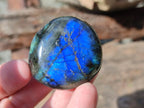Polished Labradorite Palm Stones x 24 From Madagascar - Toprock Gemstones and Minerals 