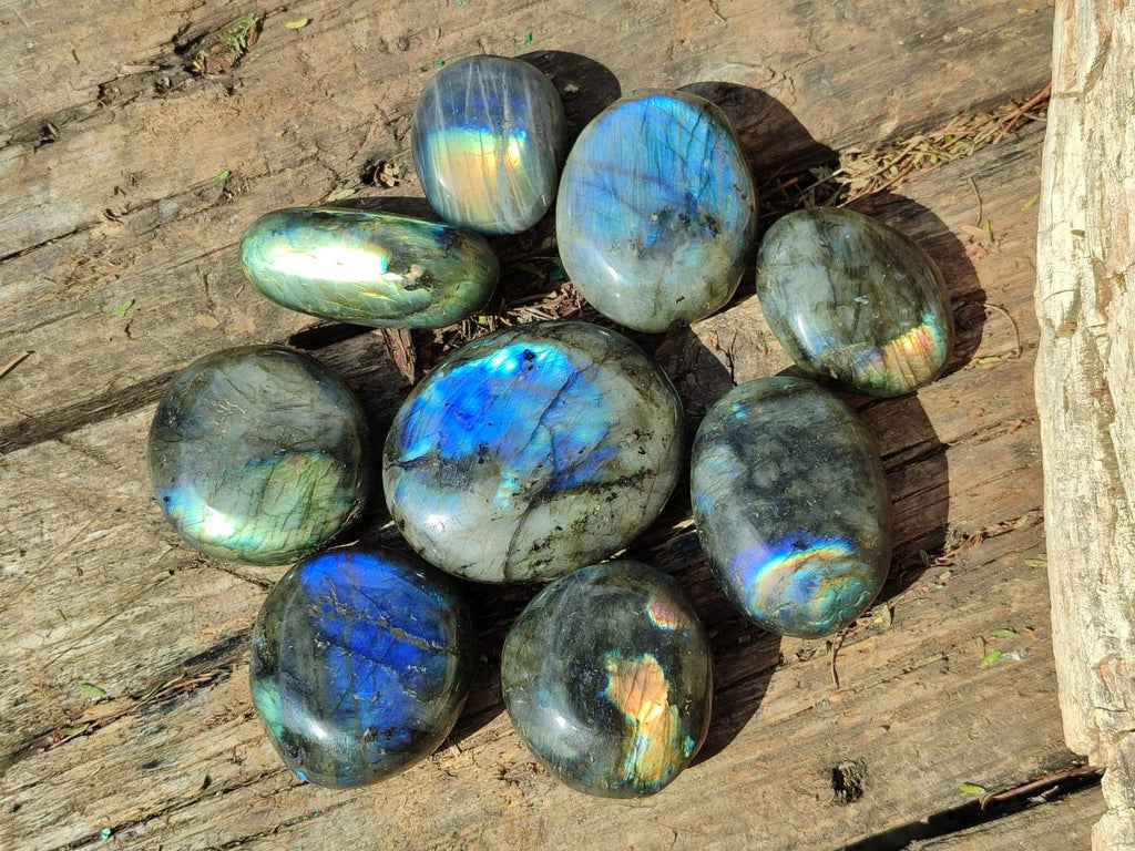 Polished Labradorite Palm Stones x 24 From Madagascar - Toprock Gemstones and Minerals 