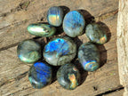 Polished Labradorite Palm Stones x 24 From Madagascar - Toprock Gemstones and Minerals 