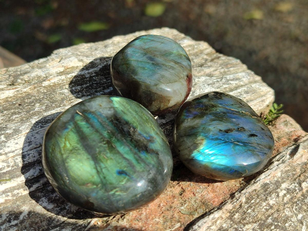 Polished Labradorite Palm Stones x 24 From Madagascar - Toprock Gemstones and Minerals 