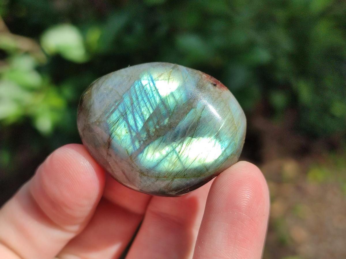 Polished Labradorite Palm Stones x 24 From Madagascar - Toprock Gemstones and Minerals 