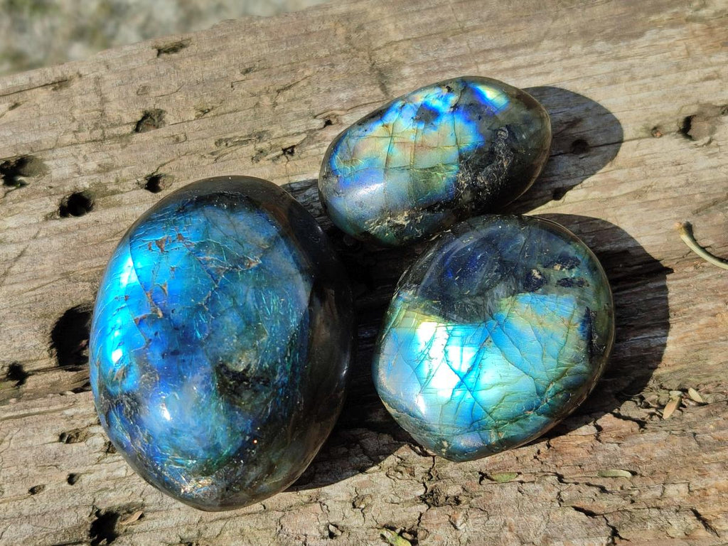 Polished Labradorite Palm Stones x 24 From Madagascar - Toprock Gemstones and Minerals 
