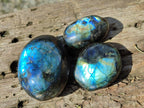 Polished Labradorite Palm Stones x 24 From Madagascar - Toprock Gemstones and Minerals 