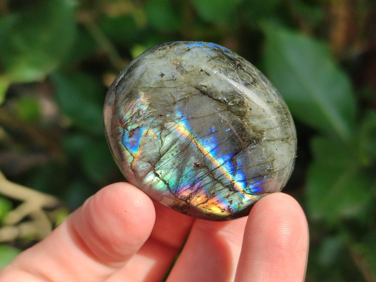 Polished Labradorite Palm Stones x 24 From Madagascar - Toprock Gemstones and Minerals 