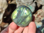 Polished Labradorite Palm Stones x 24 From Madagascar - Toprock Gemstones and Minerals 