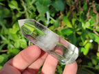Polished Clear Quartz Display Crystals x 24 From Madagascar - Toprock Gemstones and Minerals 