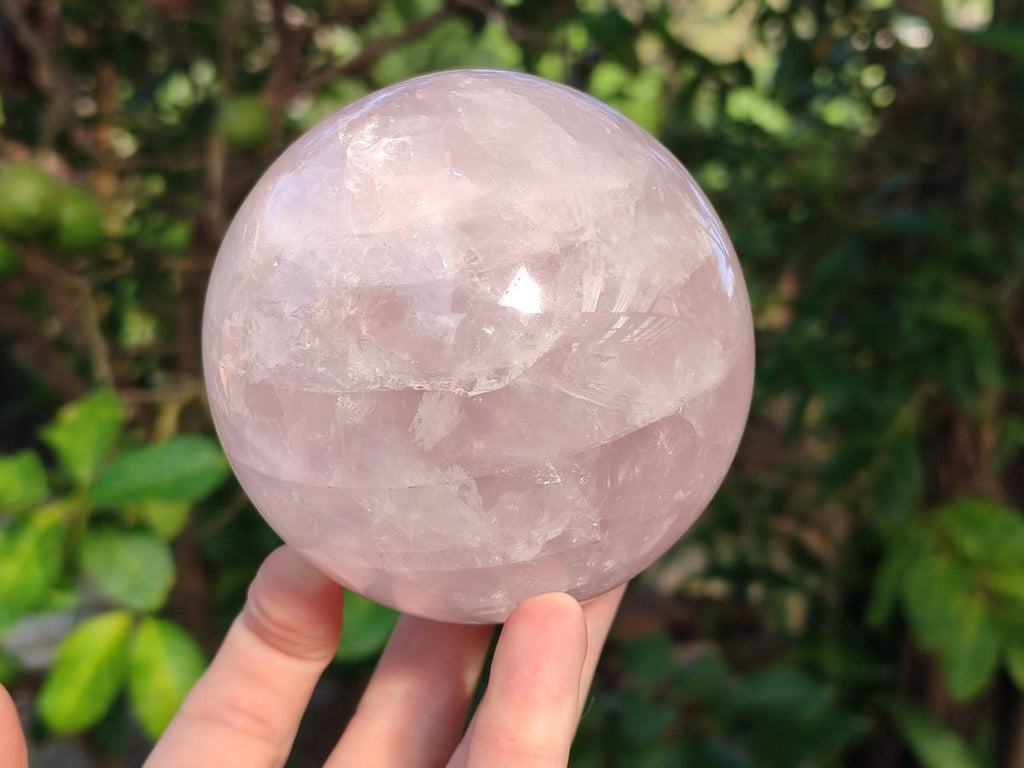 Polished Large Gemmy Rose Quartz Sphere x 1 From Madagascar - Toprock Gemstones and Minerals 