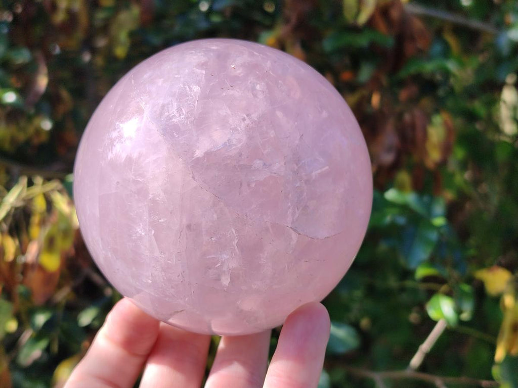 Polished Large Gemmy Rose Quartz Sphere x 1 From Madagascar - Toprock Gemstones and Minerals 
