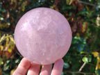 Polished Large Gemmy Rose Quartz Sphere x 1 From Madagascar - Toprock Gemstones and Minerals 