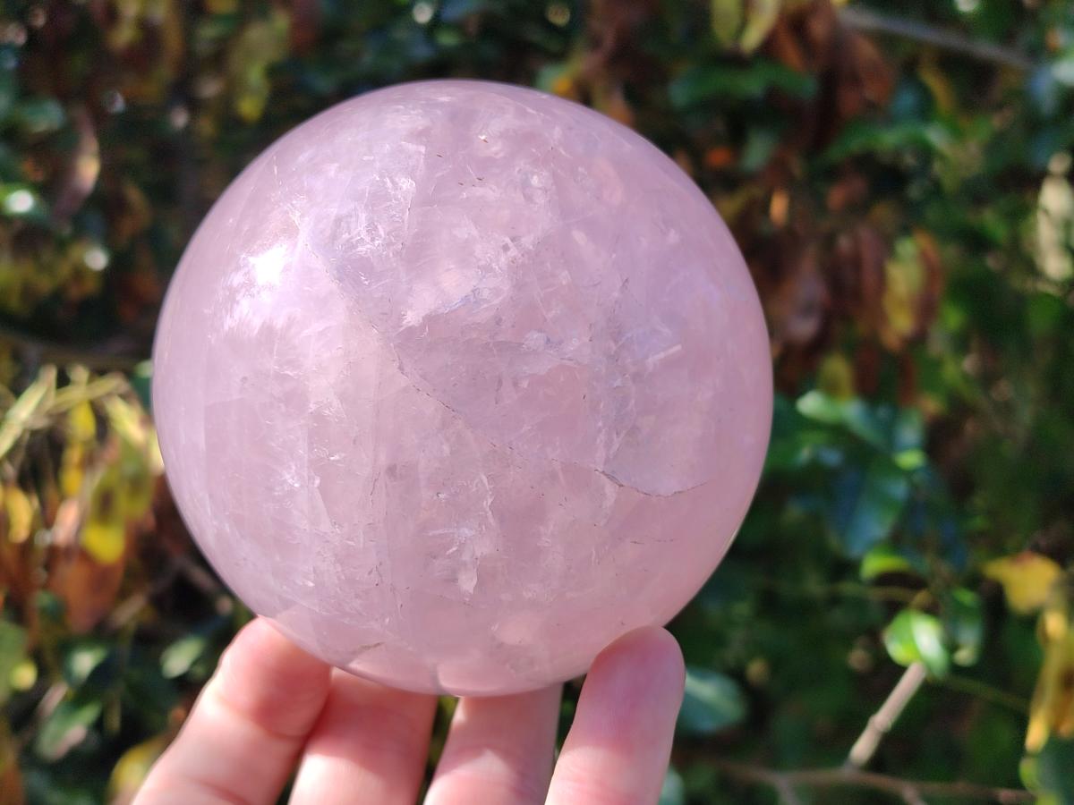 Polished Large Gemmy Rose Quartz Sphere x 1 From Madagascar - Toprock Gemstones and Minerals 