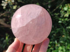 Polished Large Gemmy Rose Quartz Sphere x 1 From Madagascar - Toprock Gemstones and Minerals 