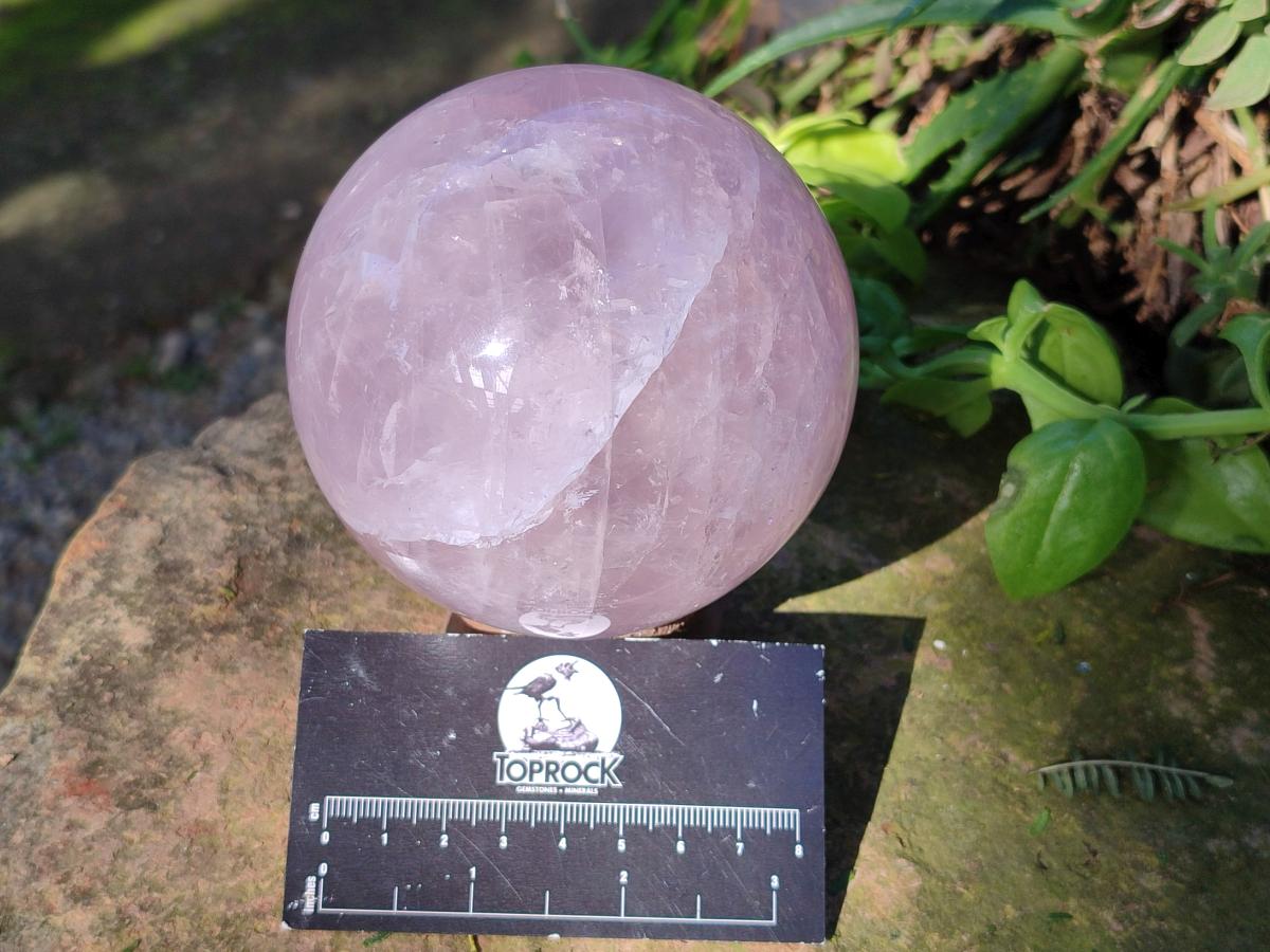 Polished Large Gemmy Rose Quartz Sphere x 1 From Madagascar - Toprock Gemstones and Minerals 