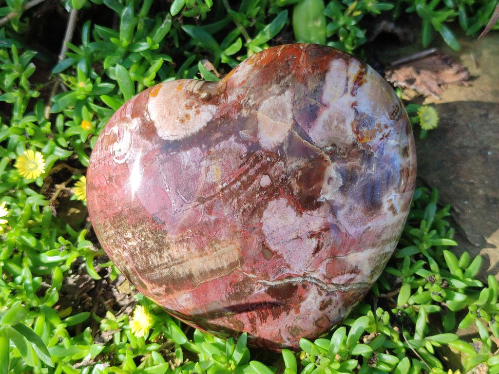 Polished Red Podocarpus Petrified Wood Hearts x 3 From Mahajanga, Madagascar - Toprock Gemstones and Minerals 