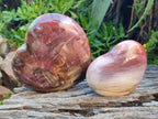Polished Red Podocarpus Petrified Wood Hearts x 3 From Mahajanga, Madagascar - Toprock Gemstones and Minerals 