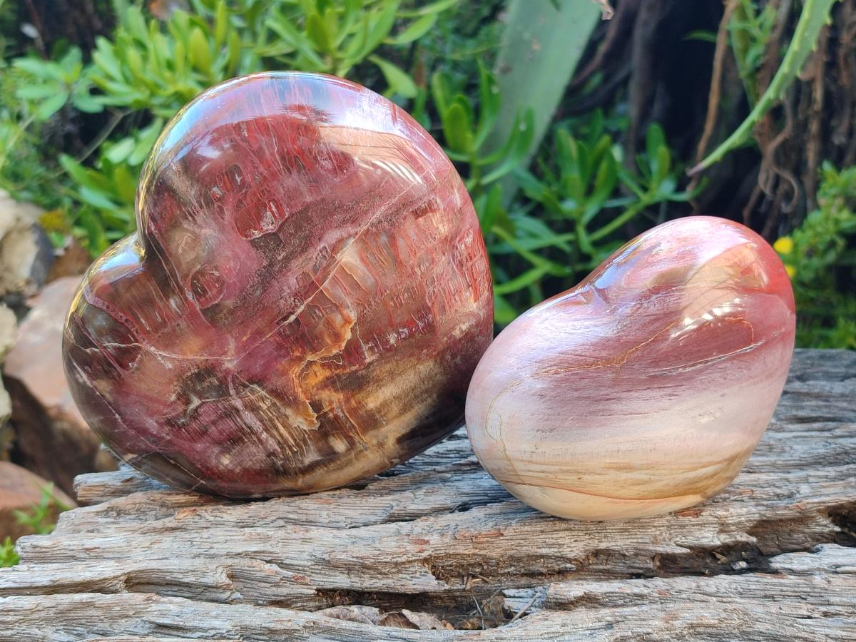 Polished Red Podocarpus Petrified Wood Hearts x 3 From Mahajanga, Madagascar - Toprock Gemstones and Minerals 