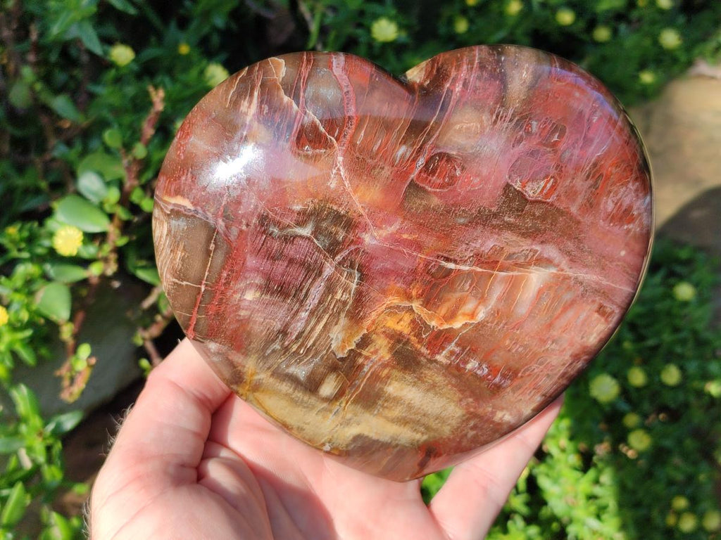 Polished Red Podocarpus Petrified Wood Hearts x 3 From Mahajanga, Madagascar - Toprock Gemstones and Minerals 