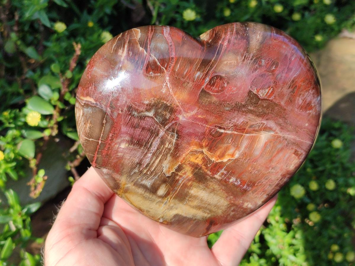 Polished Red Podocarpus Petrified Wood Hearts x 3 From Mahajanga, Madagascar - Toprock Gemstones and Minerals 