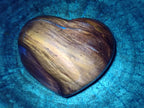 Polished Red Podocarpus Petrified Wood Hearts x 3 From Mahajanga, Madagascar - Toprock Gemstones and Minerals 