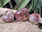 Polished Red Podocarpus Petrified Wood Hearts x 3 From Mahajanga, Madagascar - Toprock Gemstones and Minerals 