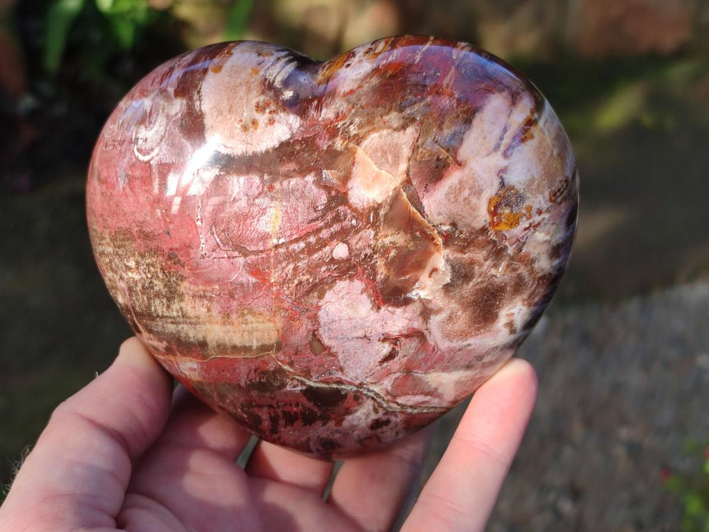 Polished Red Podocarpus Petrified Wood Hearts x 3 From Mahajanga, Madagascar - Toprock Gemstones and Minerals 
