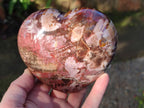 Polished Red Podocarpus Petrified Wood Hearts x 3 From Mahajanga, Madagascar - Toprock Gemstones and Minerals 