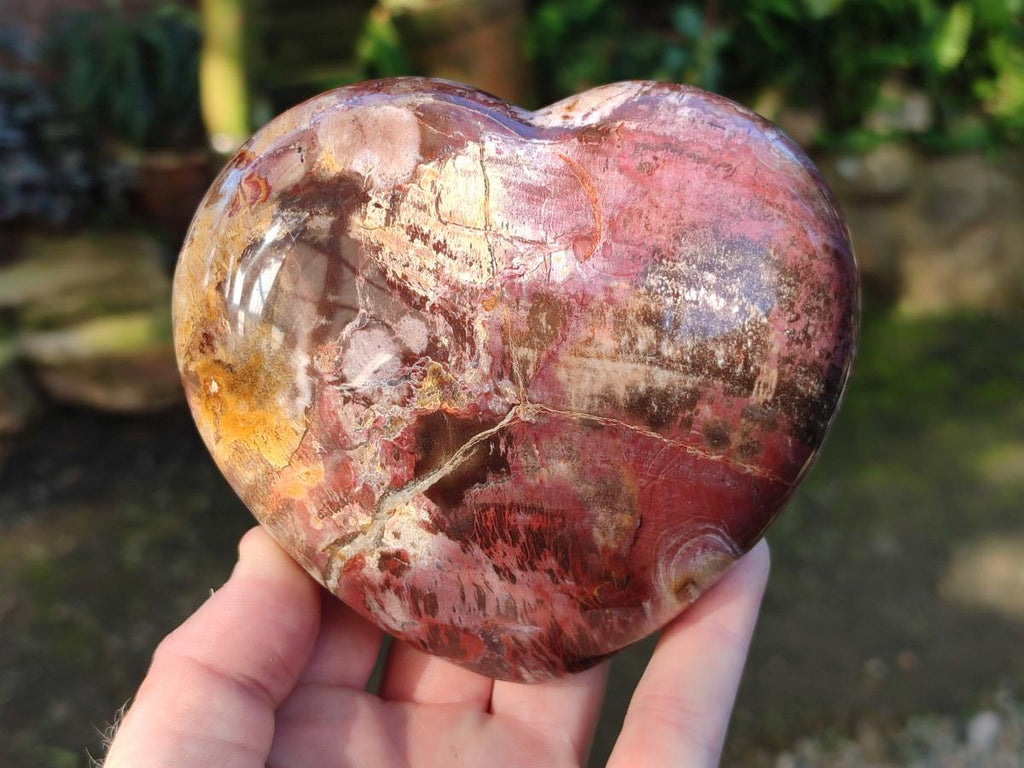 Polished Red Podocarpus Petrified Wood Hearts x 3 From Mahajanga, Madagascar - Toprock Gemstones and Minerals 