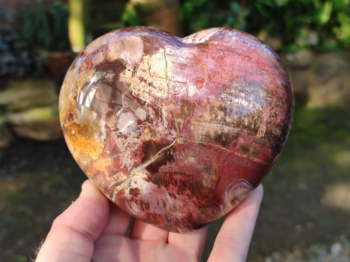Polished Red Podocarpus Petrified Wood Hearts x 3 From Mahajanga, Madagascar - Toprock Gemstones and Minerals 