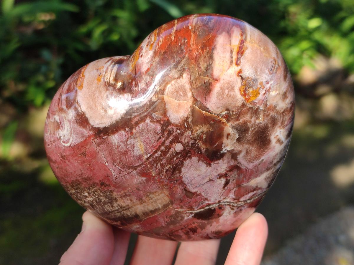 Polished Red Podocarpus Petrified Wood Hearts x 3 From Mahajanga, Madagascar - Toprock Gemstones and Minerals 