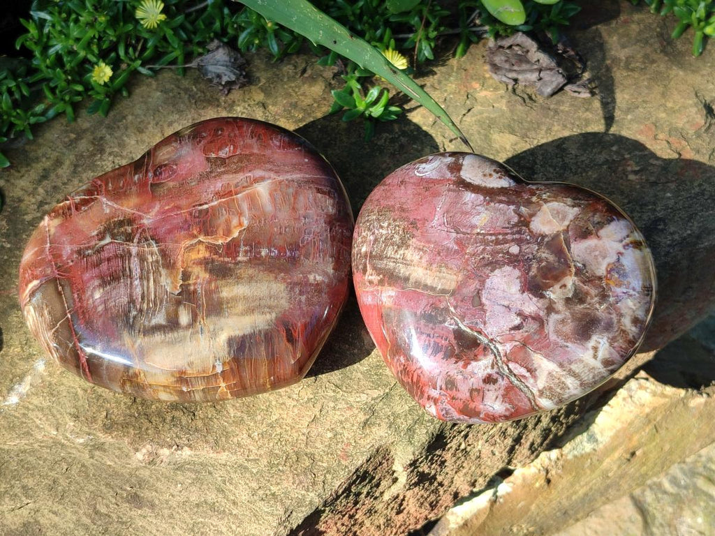 Polished Red Podocarpus Petrified Wood Hearts x 3 From Mahajanga, Madagascar - Toprock Gemstones and Minerals 