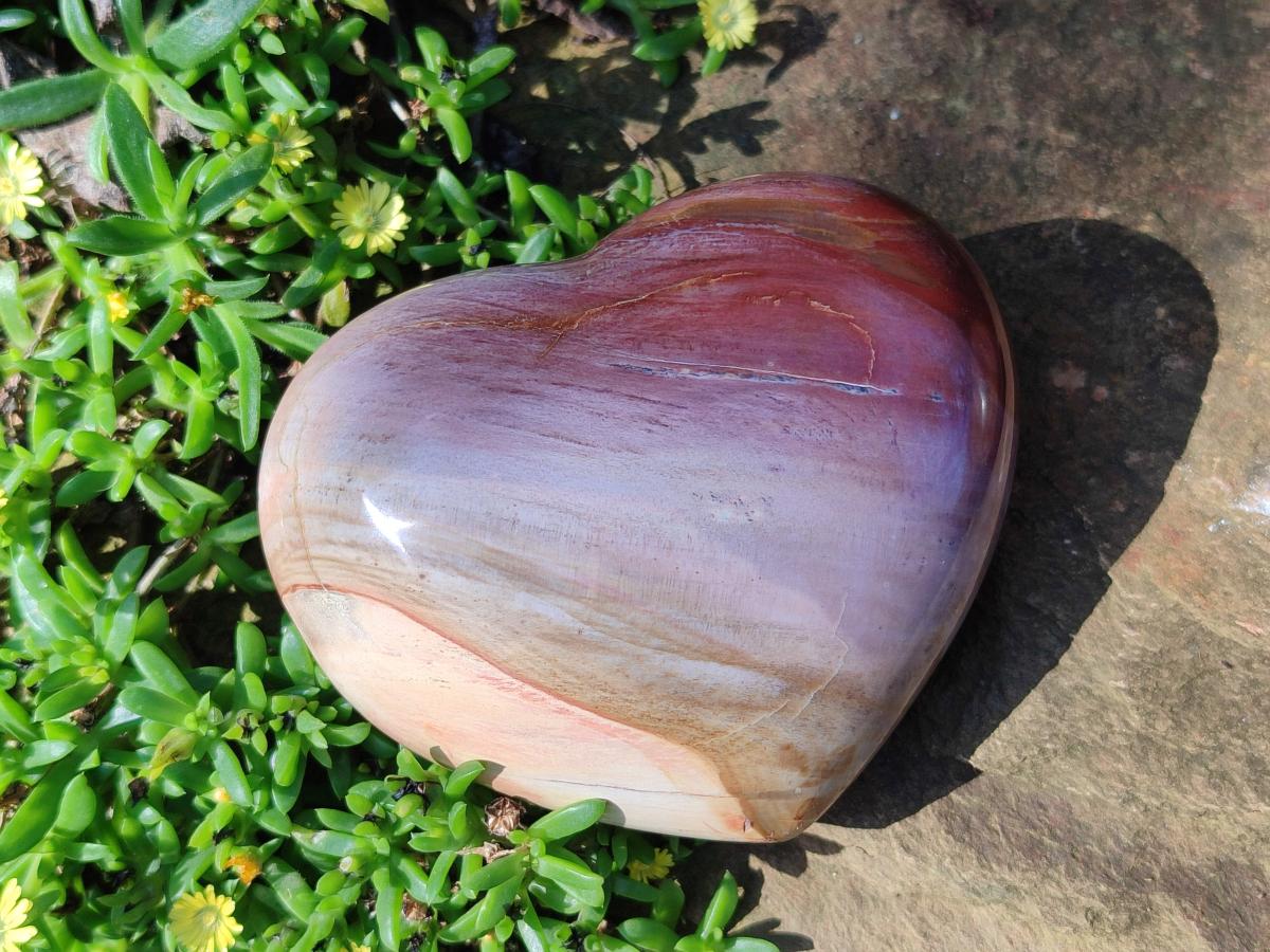 Polished Red Podocarpus Petrified Wood Hearts x 3 From Mahajanga, Madagascar - Toprock Gemstones and Minerals 