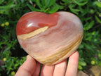 Polished Red Podocarpus Petrified Wood Hearts x 3 From Mahajanga, Madagascar - Toprock Gemstones and Minerals 