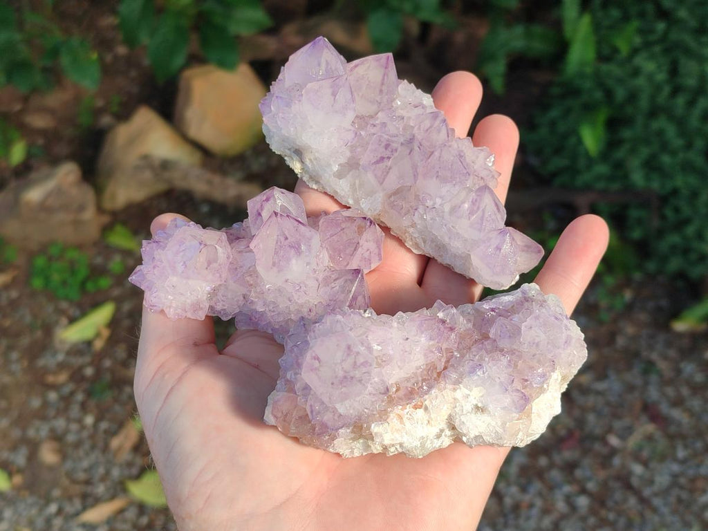 Natural Sunburst Spirit Amethyst Clusters x 6 From Boekenhouthoek, South Africa - Toprock Gemstones and Minerals 