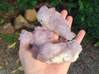 Natural Sunburst Spirit Amethyst Clusters x 6 From Boekenhouthoek, South Africa - Toprock Gemstones and Minerals 
