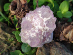 Natural Sunburst Spirit Amethyst Clusters x 6 From Boekenhouthoek, South Africa - Toprock Gemstones and Minerals 