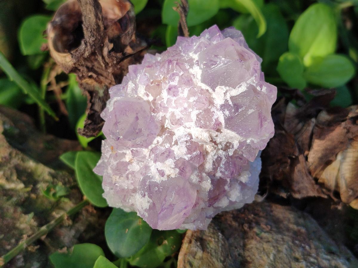 Natural Sunburst Spirit Amethyst Clusters x 6 From Boekenhouthoek, South Africa - Toprock Gemstones and Minerals 