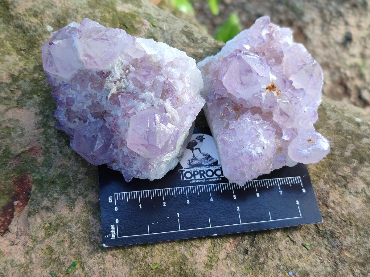 Natural Sunburst Spirit Amethyst Clusters x 6 From Boekenhouthoek, South Africa - Toprock Gemstones and Minerals 