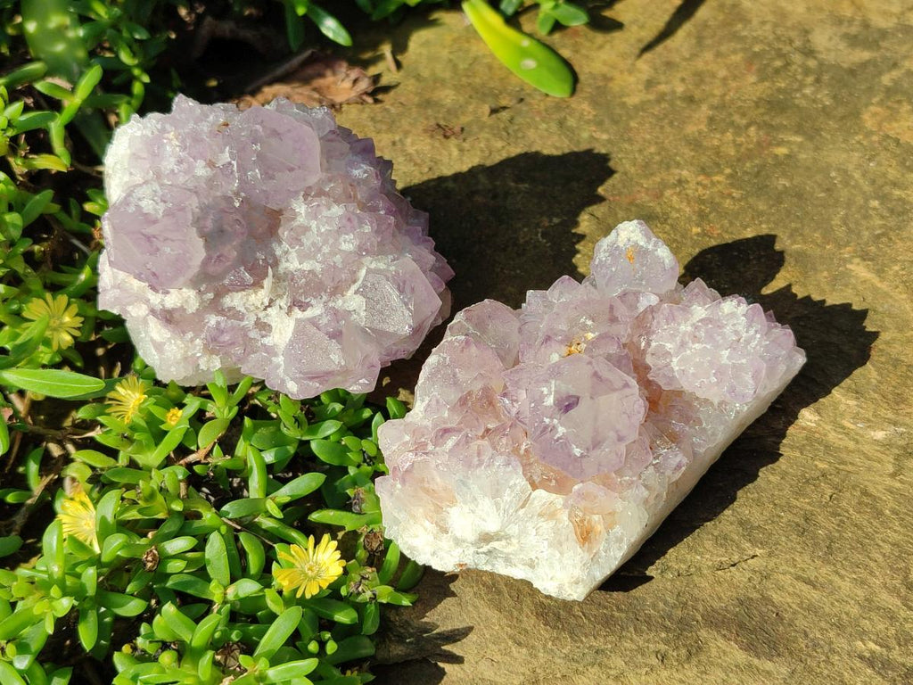 Natural Sunburst Spirit Amethyst Clusters x 6 From Boekenhouthoek, South Africa - Toprock Gemstones and Minerals 