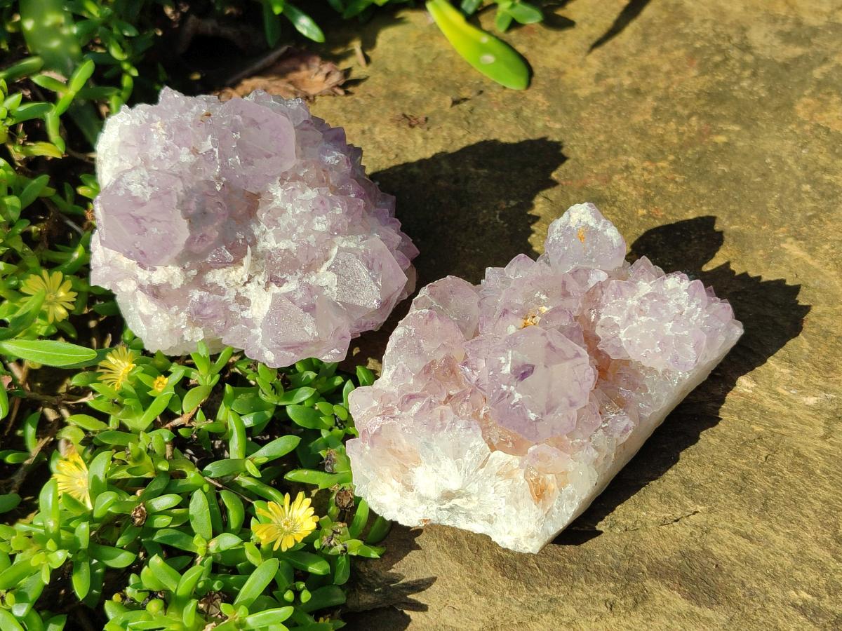 Natural Sunburst Spirit Amethyst Clusters x 6 From Boekenhouthoek, South Africa - Toprock Gemstones and Minerals 