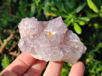 Natural Sunburst Spirit Amethyst Clusters x 6 From Boekenhouthoek, South Africa - Toprock Gemstones and Minerals 