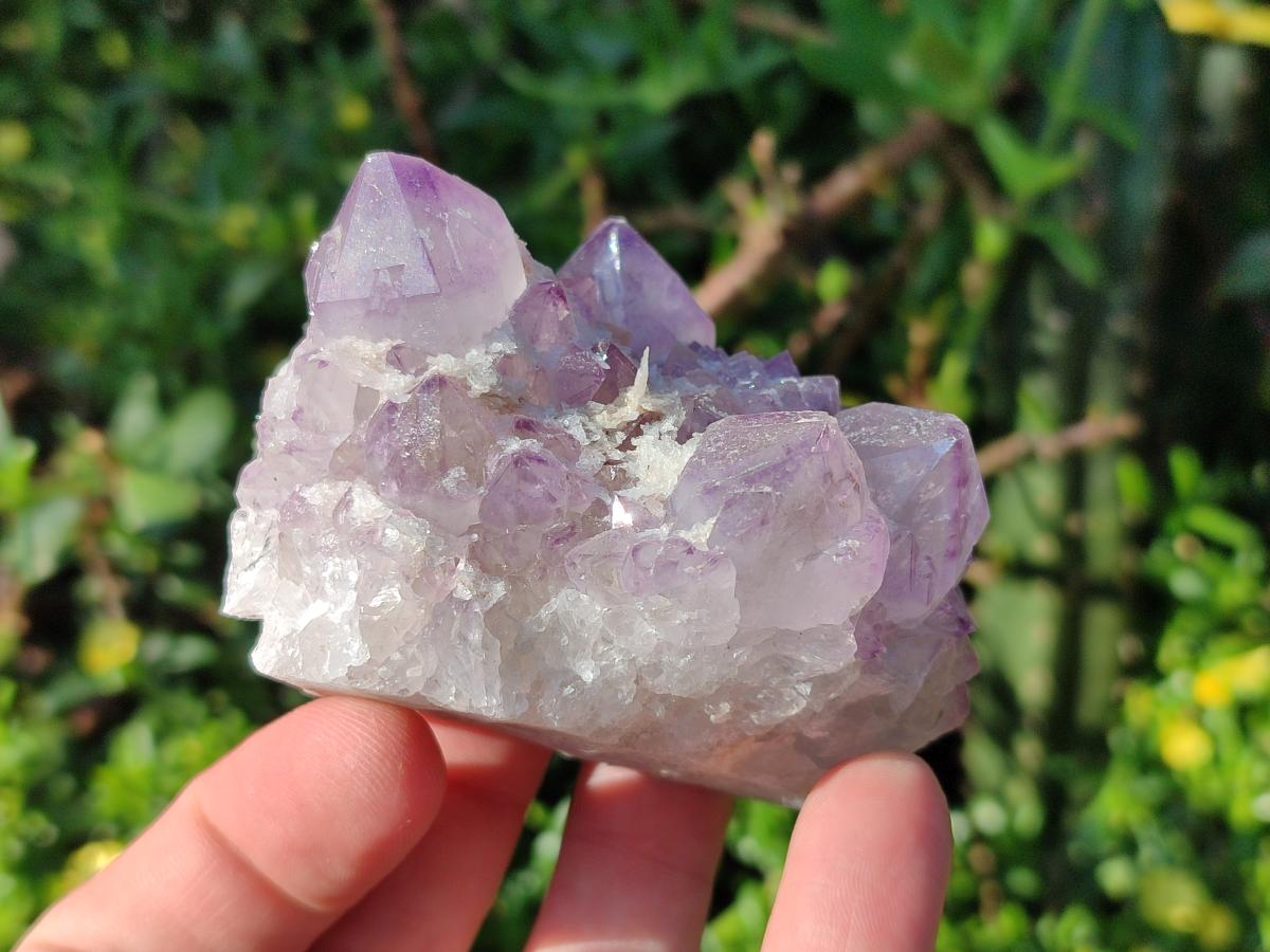 Natural Sunburst Spirit Amethyst Clusters x 6 From Boekenhouthoek, South Africa - Toprock Gemstones and Minerals 