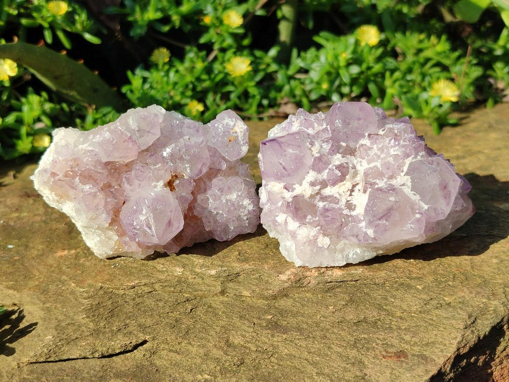 Natural Sunburst Spirit Amethyst Clusters x 6 From Boekenhouthoek, South Africa - Toprock Gemstones and Minerals 
