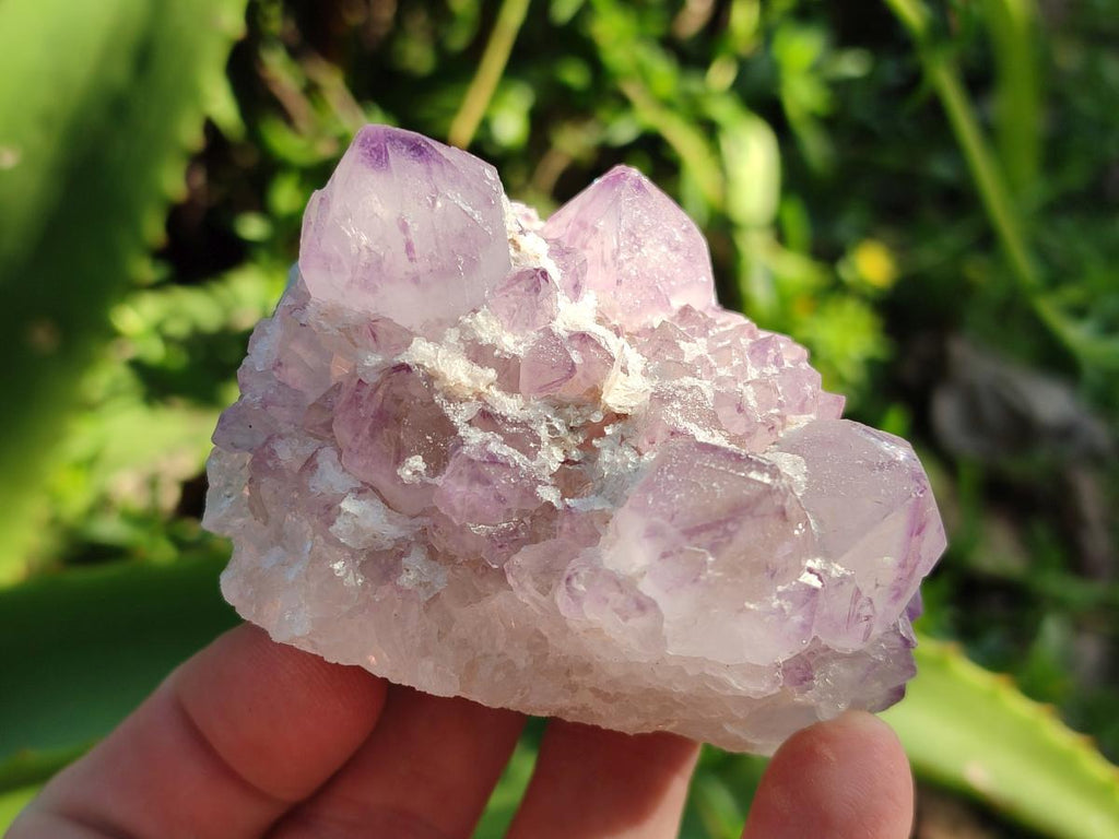 Natural Sunburst Spirit Amethyst Clusters x 6 From Boekenhouthoek, South Africa - Toprock Gemstones and Minerals 