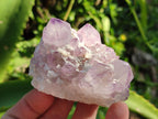 Natural Sunburst Spirit Amethyst Clusters x 6 From Boekenhouthoek, South Africa - Toprock Gemstones and Minerals 